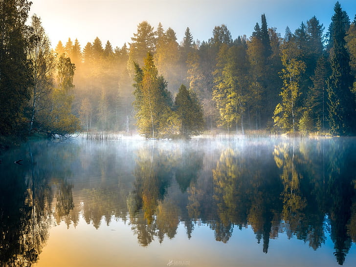 Manhã floresta, nevoeiro, lago, árvores, outono, Finlândia, Manhã, floresta, nevoeiro, lago, árvores, outono, Finlândia, HD papel de parede