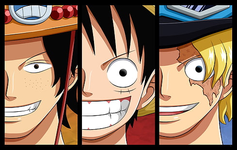 One Piece, Monkey D. Luffy, Sabo , Portgas D. Ace, HD wallpaper HD wallpaper