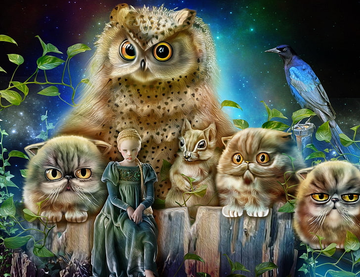 orange owl and cats wallpaper, owl, bird, cats, protein, girl, Princess, HD wallpaper