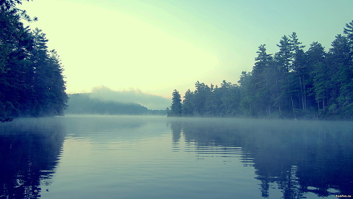 body of water and trees, lake, forest, mist, nature, water, HD wallpaper