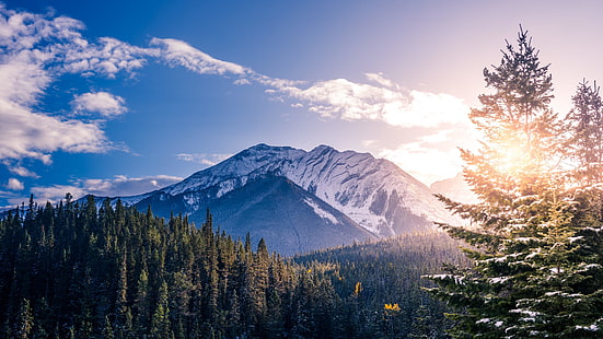 山脈、日光、カナダ、アルバータ、国立公園、雲、木、冬、山の風景、荒野、山、山、自然、バンフ国立公園、空、雪、木、太陽、 HDデスクトップの壁紙 HD wallpaper