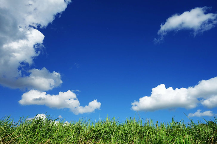 cielo blu, luminoso, nuvole, campagna, cumuli, campo, erba, erba verde, prato, natura, aria aperta, pascolo, cielo, estate, soleggiato, giornata di sole, tempo, vento, Sfondo HD