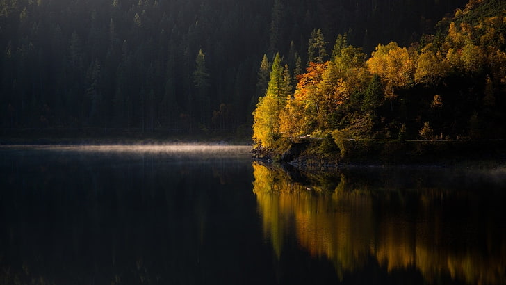 желтые и зеленые лиственные деревья, водоем возле деревьев, осень, озеро, отражение, HD обои