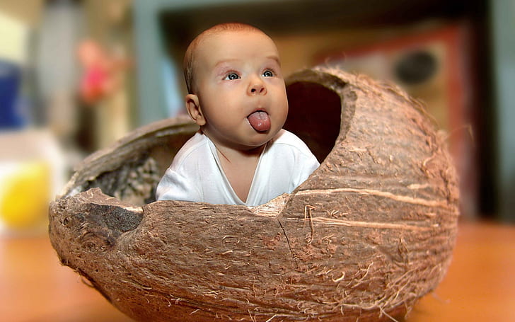 Baby Coconut, baby's white v neck t shirt in brown coconut shell, child, funny, kids, fruit, HD wallpaper
