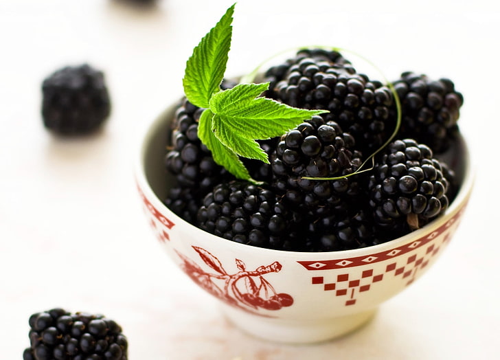 검은 딸기와 흰 그릇, 검은 딸기, 그릇, 잎, HD 배경 화면