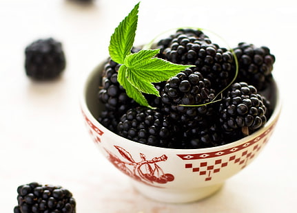 blackberries and white bowl, blackberry, bowl, leaves, HD wallpaper HD wallpaper