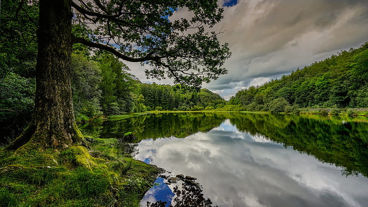 пейзаж, Англия, природа, озеро, деревья, HD обои