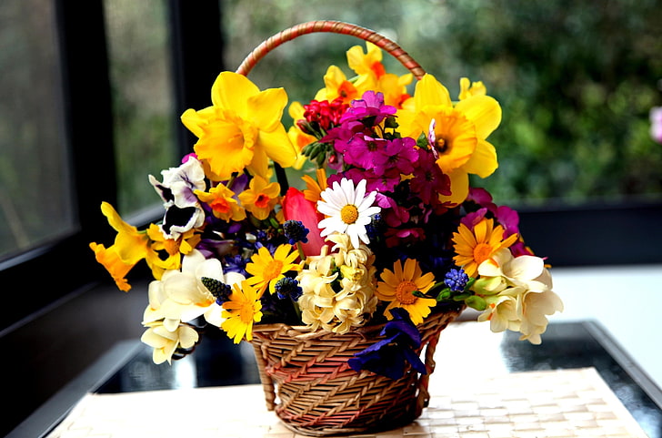 yellow wild daffodil flower, daffodils, hydrangea, muscari, freesia, viola, bunch, basket, flowers, HD wallpaper