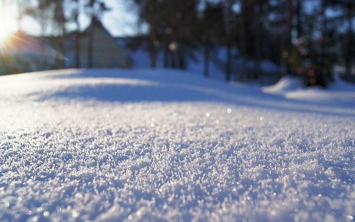 Fotografie des selektiven Fokus des Schnees, Schärfentiefe, Schnee, Winter, HD-Hintergrundbild