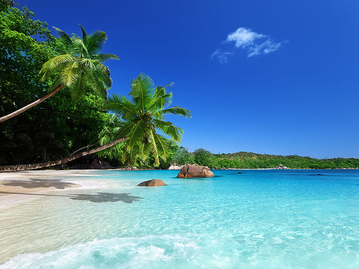 Tropical paradise, sunshine, beach, coast, sea, palm trees, Tropical, Paradise, Sunshine, Beach, Coast, Sea, Palm, Trees, HD wallpaper