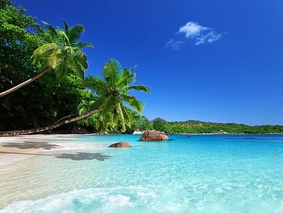 Тропически рай, слънце, плаж, крайбрежие, море, палми, тропически, рай, слънце, плаж, крайбрежие, море, палма, дървета, HD тапет HD wallpaper