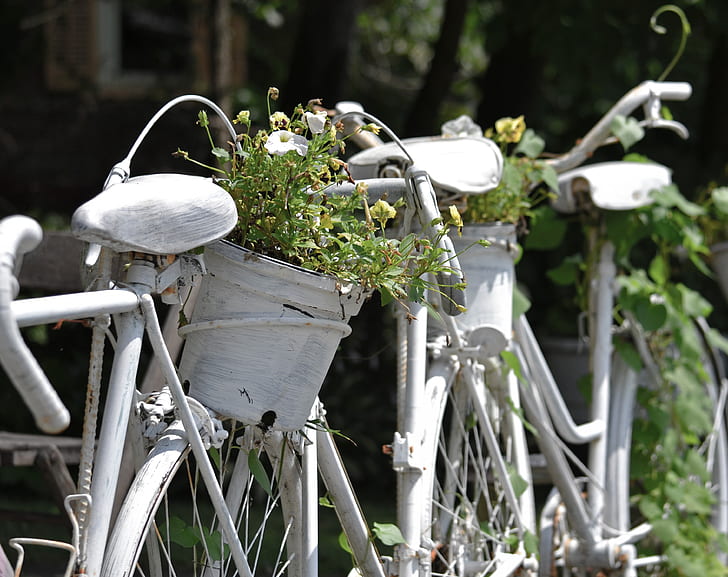 Велосипедна ограда, реколта, улица, ограда, теменужки, велосипеди, творчество, декоративни, боядисани в бяло, плантатори, HD тапет