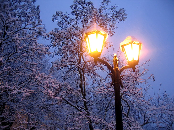 black post lamp, cold, winter, light, snow, trees, branches, nature, the evening, frost, lantern, HD wallpaper