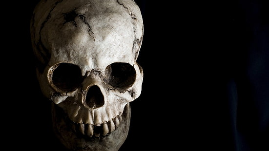 zdjęcie szarej czaszki, czarne, czaszka, Tapety HD HD wallpaper