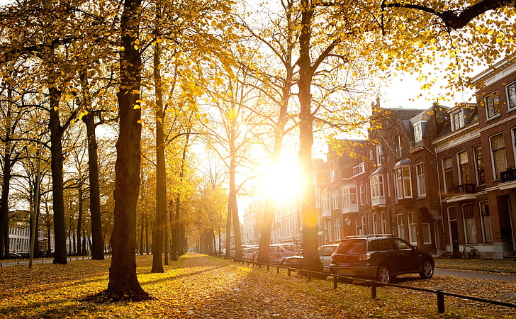 Sunny Autumn Afternoon In Utrecht, black SUV, Europe, Netherlands, City, Nature, Photography, HD wallpaper