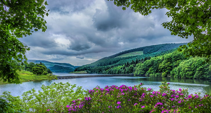 pink outdoor flowers beside river during daytime, ladybower reservoir, ladybower reservoir, Ladybower Reservoir, pink, outdoor, flowers, river, daytime, derwent valley, Derbyshire, Peak District National Park, Hope Valley, Uk, hdr, hills, water, canon, trees, nature, lake, mountain, summer, landscape, outdoors, forest, tree, scenics, sky, green Color, beauty In Nature, blue, travel, HD wallpaper