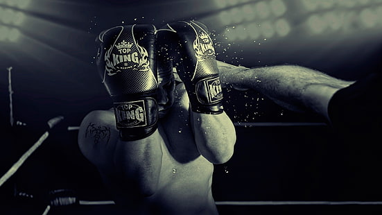 pair of black Top King boxing gloves, boxing, HD wallpaper HD wallpaper