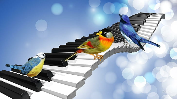 Bird Song, musical, singing, music, spring, piano keys, birds, abstract, song, summer, bokeh, 3d and abstract, HD wallpaper