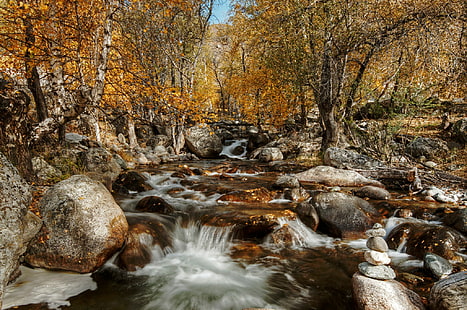 Алтай, есен, октомври 2014 г., воден поток, Алтай, есен, октомври 2014 г., висока разделителна способност, HD тапет HD wallpaper