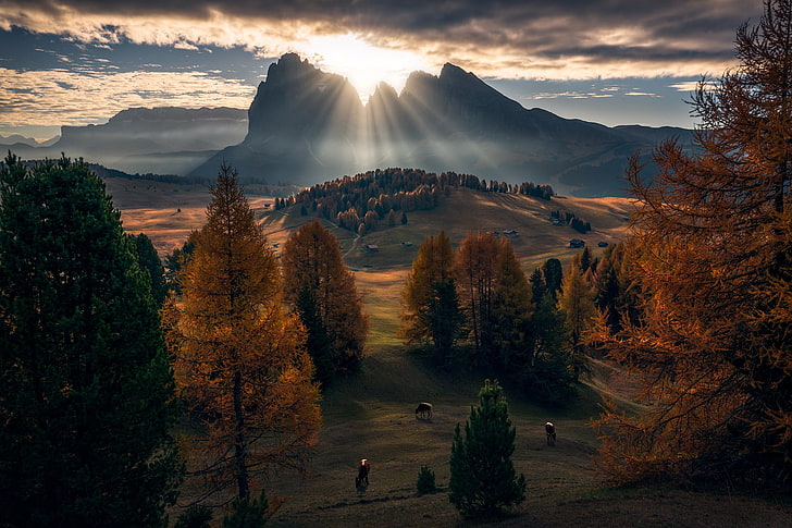 Grün- und Braunlaubbäume, Ahornbäume, Dolomiten (Berge), Natur, Herbst, Wolken, Tiere, HD-Hintergrundbild