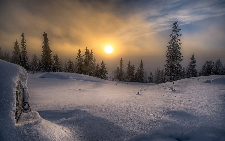 пейзаж, природа, зима, снег, лес, мороз, солнце, туман, сосны, облака, Норвегия, холод, небо, HD обои