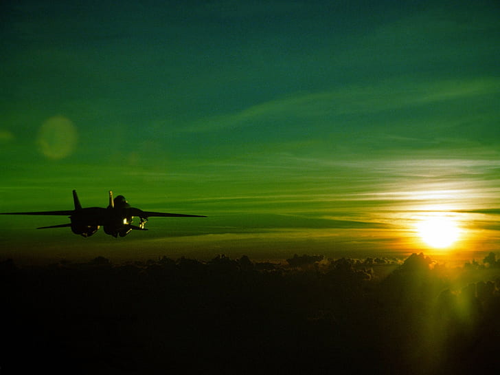Grumman F-14 Tomcat, matahari terbenam, hijau, jet fighter, pesawat terbang, Wallpaper HD