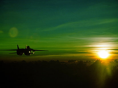 Grumman F-14 Tomcat, sunset, green, jet fighter, aircraft, HD wallpaper HD wallpaper