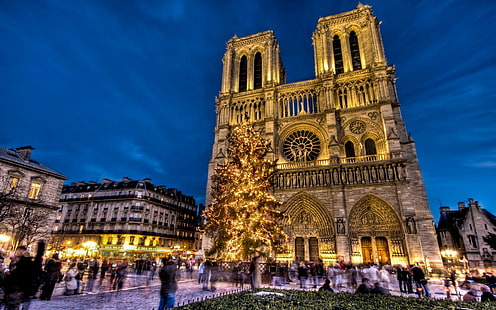 Notre Dame, Notre Dame de París, París, Francia, área, año nuevo, árbol de navidad, vacaciones, Notre Dame de París, Notre Dame, Notre Dame de París, París, Francia, área, año nuevo, árbol de navidad, vacaciones, Fondo de pantalla HD HD wallpaper