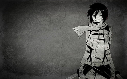 Mikasa Ackerman, Mikasa Ackerman, Shingeki no Kyojin, Anime, Anime Girls, HD-Hintergrundbild HD wallpaper