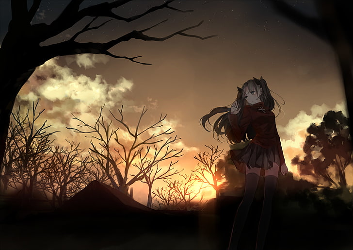 أنيمي ، سلسلة القدر ، Tohsaka Rin، خلفية HD