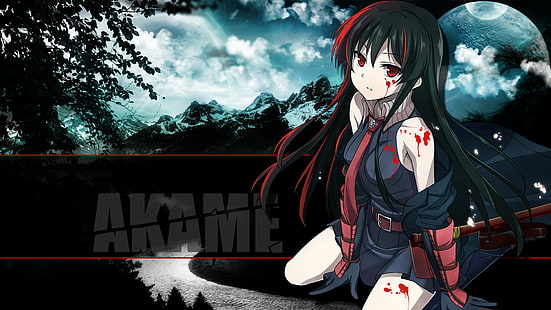 черноволосая женщина аниме обои персонажа, Akame ga Kill !, Akame, HD обои HD wallpaper