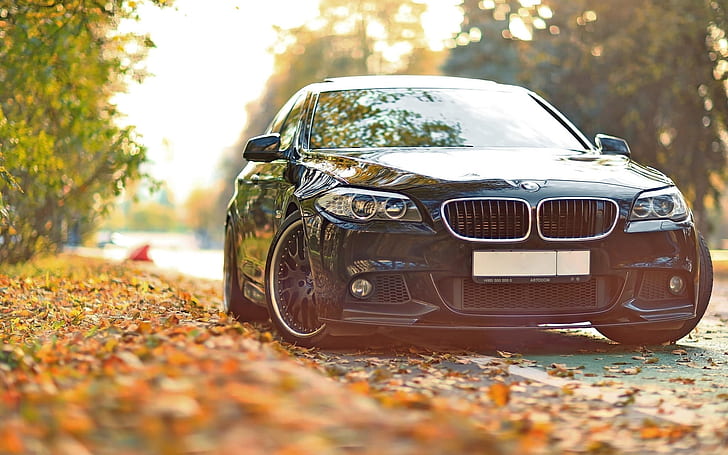 BMW 550 F10 black car in the autumn, BMW, Black, Car, Autumn, HD wallpaper