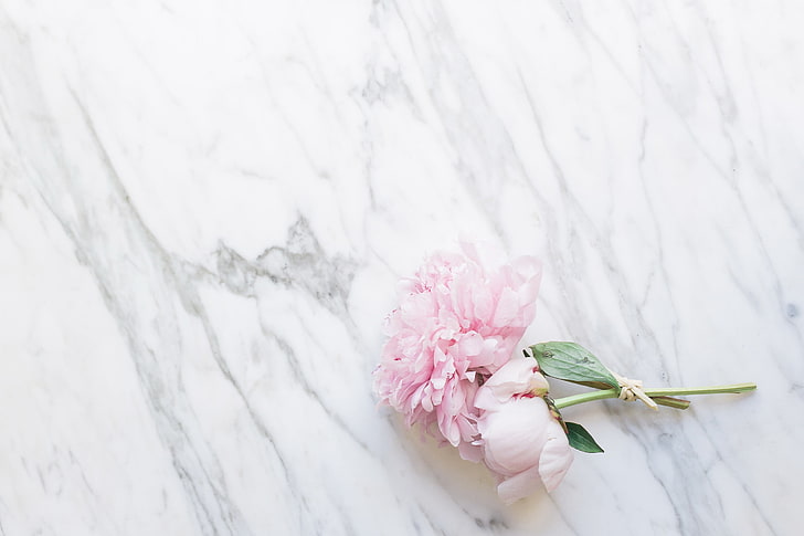 flowers, bouquet, marble, pink, peonies, tender, HD wallpaper