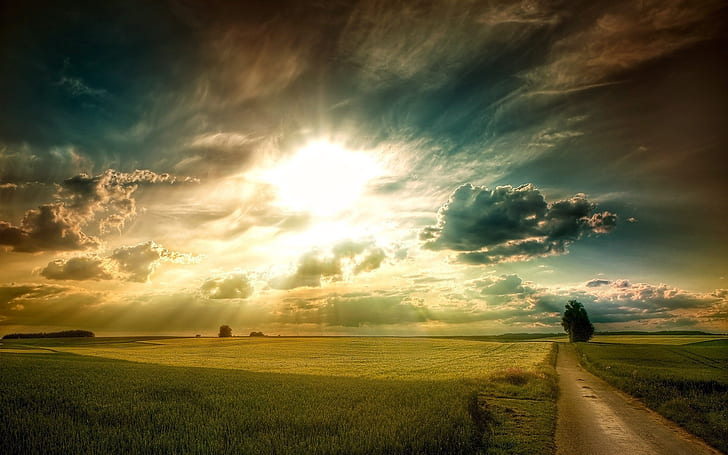 Krajobraz równin, trawa, pola, droga, drzewo, chmury nieba, promienie słoneczne, równiny, krajobraz, trawa, pola, droga, drzewo, niebo, chmury, słońce, promienie, Tapety HD
