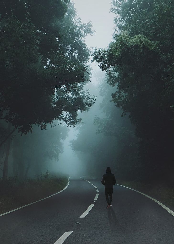 schwarzer Hoodie und schwarze Hosenausstattung der Person, Nebel, Straße, Wald, Landschaft, HD-Hintergrundbild, Handy-Hintergrundbild