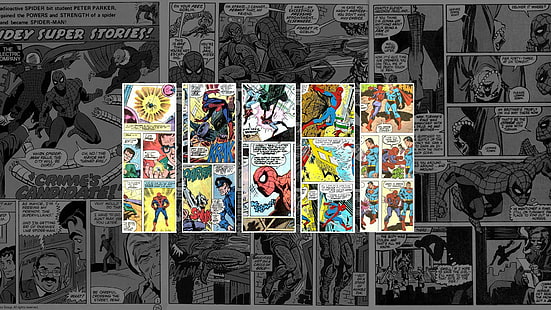 Spider-Man Marvel HD, kreskówka / komiks, człowiek, cud, pająk, Tapety HD HD wallpaper