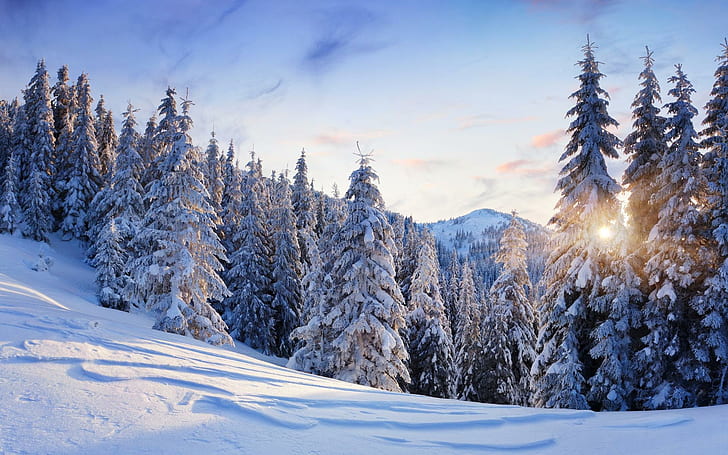Naturlandskap Träd Skog Berg Vinter Snö Årstider Sol Solljus Himmel Moln Vit Kall Bäst, berg, bäst, moln, kall, skog, landskap, natur, årstider, snö, solljus, träd, vit, vinter, HD tapet