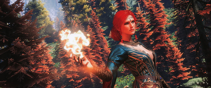 게임 일러스트, 비디오 게임, Triss Merigold, The Witcher, HD 배경 화면 HD wallpaper