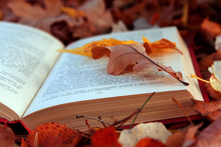 dried leaf, books, texts, leaves, autumn, foliage, pages, HD wallpaper
