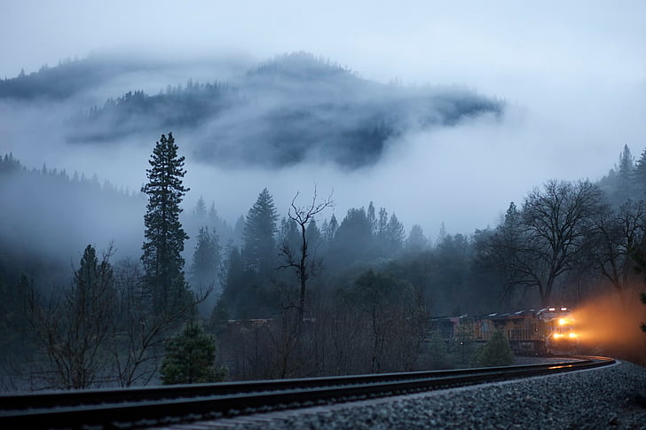 naturaleza, invierno, árboles, ferrocarril, tren, luces, niebla, bosque, paisaje, Fondo de pantalla HD