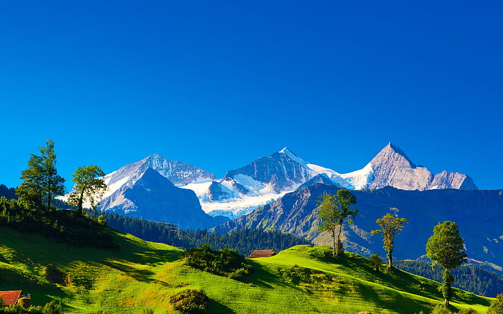 Schweiz, Alperna, berg, grönt gräs, träd, blå himmel, Schweiz, Alperna, berg, grön, gräs, träd, blå, himmel, HD tapet
