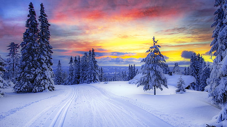 Норвегия Зимний Лес Снежные Деревья 1920 × 1080, HD обои