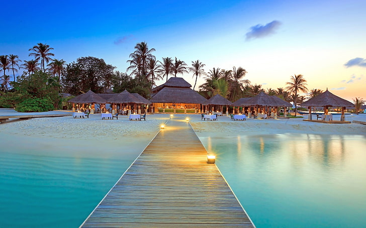 maldives dock island beach palm trees, HD wallpaper