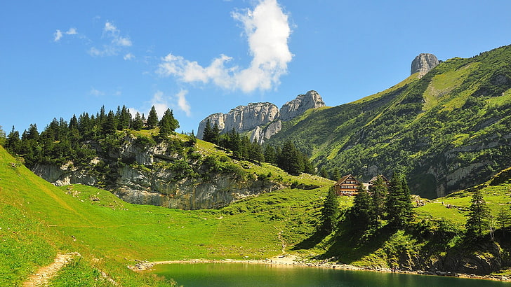 緑の木々、自然、風景、山、雲、木、森、丘、草、スイス、家、湖、道、岩、影、松の木、 HDデスクトップの壁紙