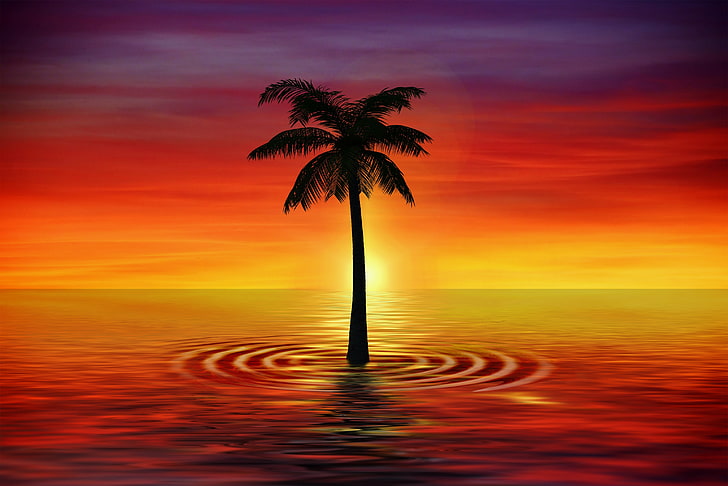 albero di cocco verde, palma, arte, crepuscolo, mare, Sfondo HD