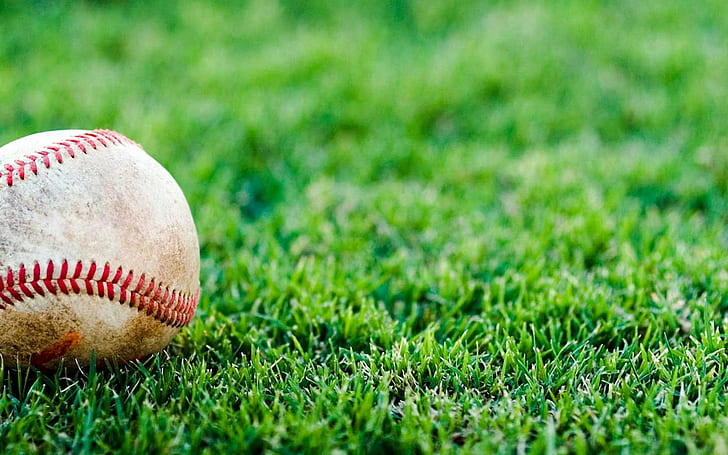 rumput, baseball, kedalaman lapangan, olahraga, di luar ruangan, Wallpaper HD