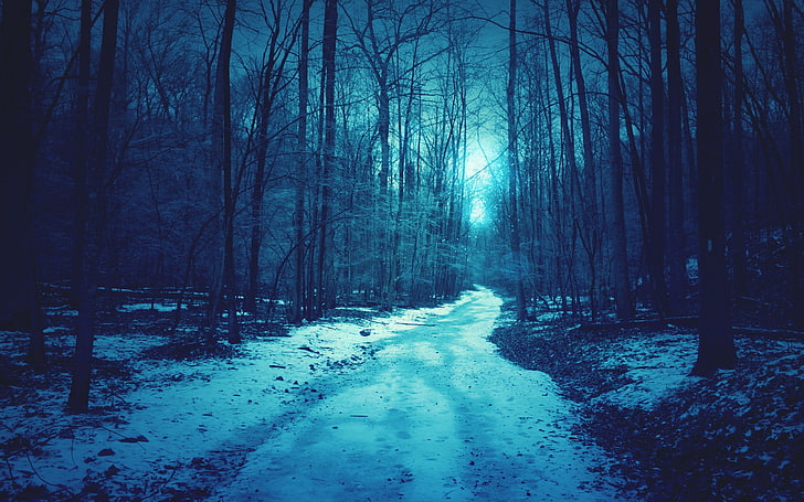 природа, гора, сняг, пътека, дървета, черен път, HD тапет