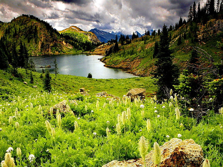 Красивата природа на Алберта, прекрасна, Алберта, камъни, езеро, езеро, хубаво, трева, бряг, красива, зеленина, речен бряг, река, HD тапет