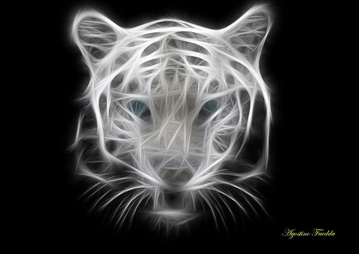 harimau, margasatwa, Wallpaper HD
