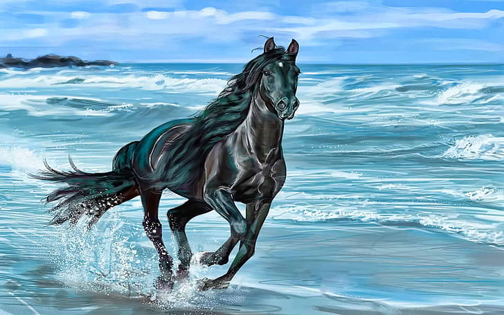 springhäst Djur Strand skönhet natur Havsvåg HD, brun och svart häst på strandillustration, natur, djur, strand, häst, hav, skönhet, våg, HD tapet